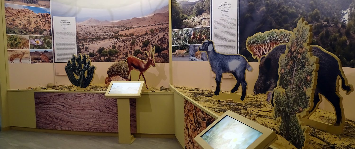 Argan Tree Museum