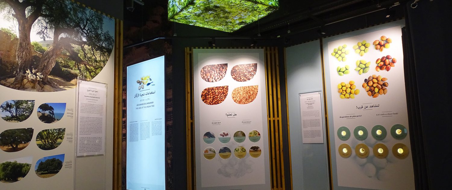 Argan Tree Museum